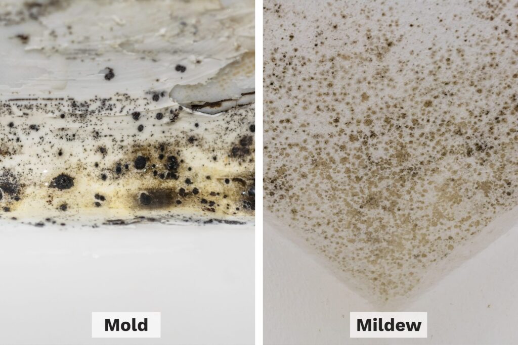 Unveiling the Hidden Potential: How Bathroom Remodeling Adds Home Value - River City Boston